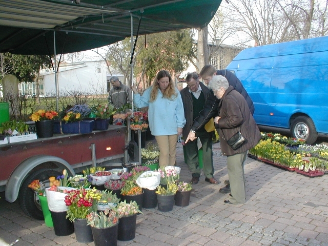 Wochenmarkt
