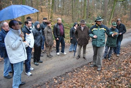 Waldbegehung