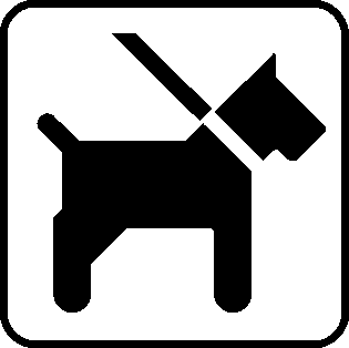 Hund