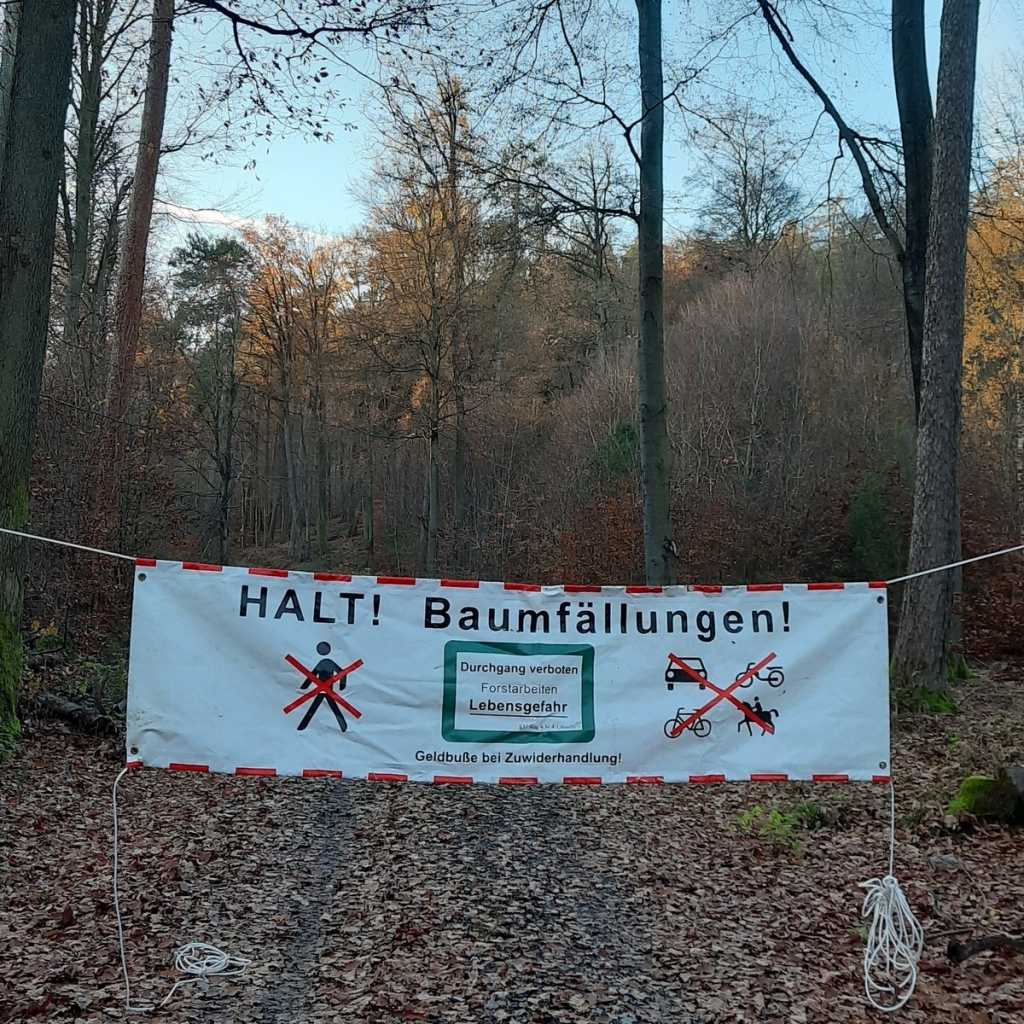 Sperrbanner im Wald, Bild Kreisforstamt