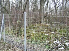 Wildschutzzäune
