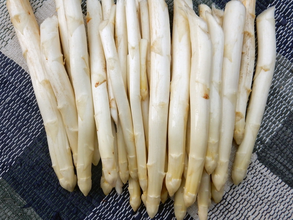 spargelhomepg_08.jpg