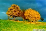Herbstbild