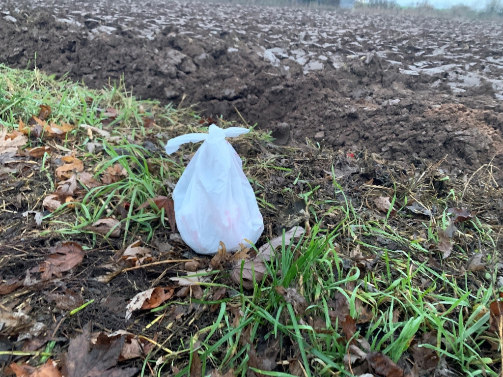 Sinnlos: Hundekot zwar in der Tüte aufgesammelt, aber im Feld liegengelassen.