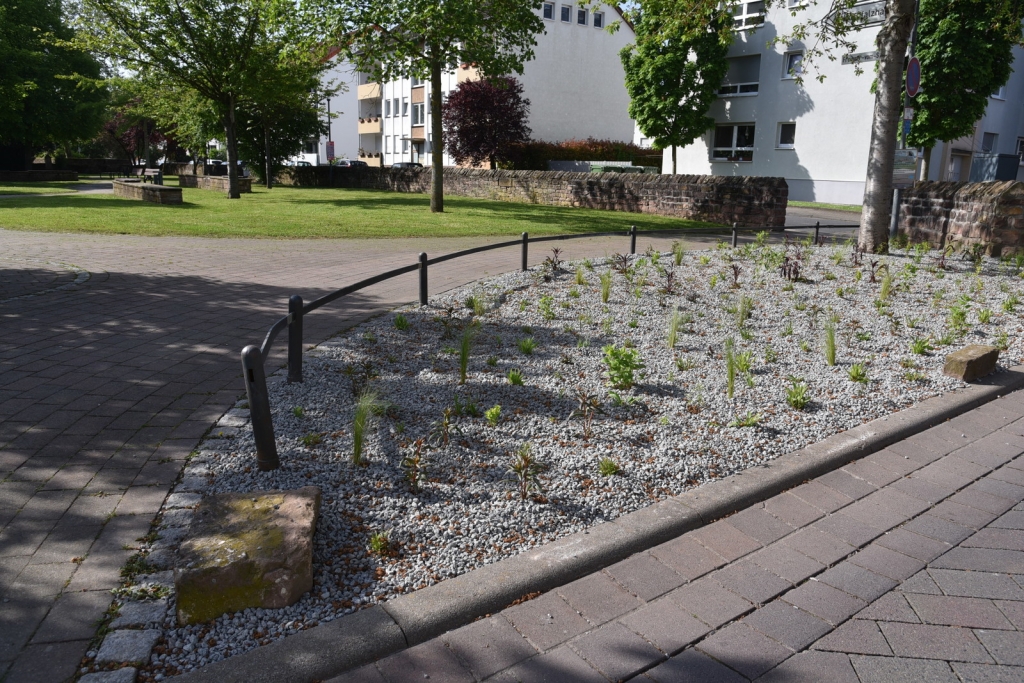 Neue Staudenbeete in der Eichendorffstraße