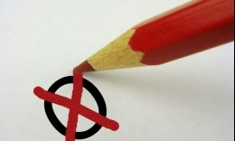 Logo-Wahl