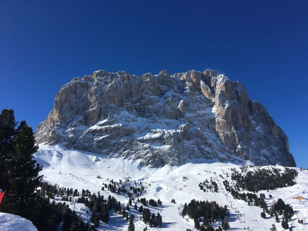 IMG-20180211-WA0018.jpg