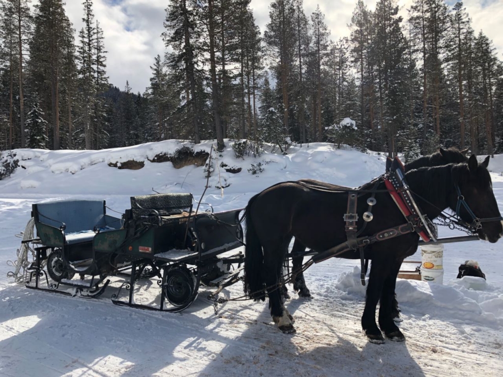 IMG-20180213-WA0018.jpg
