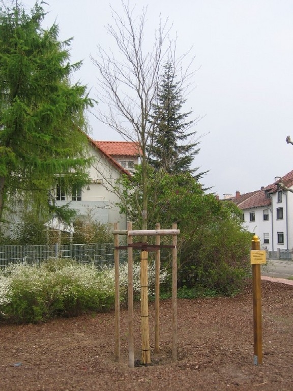 Erinnerungstafel wurde enthüllt 3