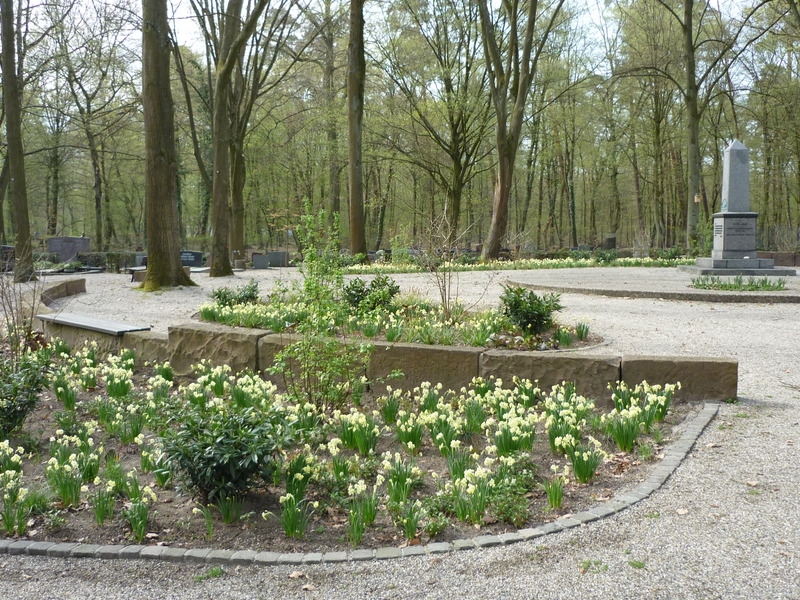 Bild 1 Friedhof Ehrenmal