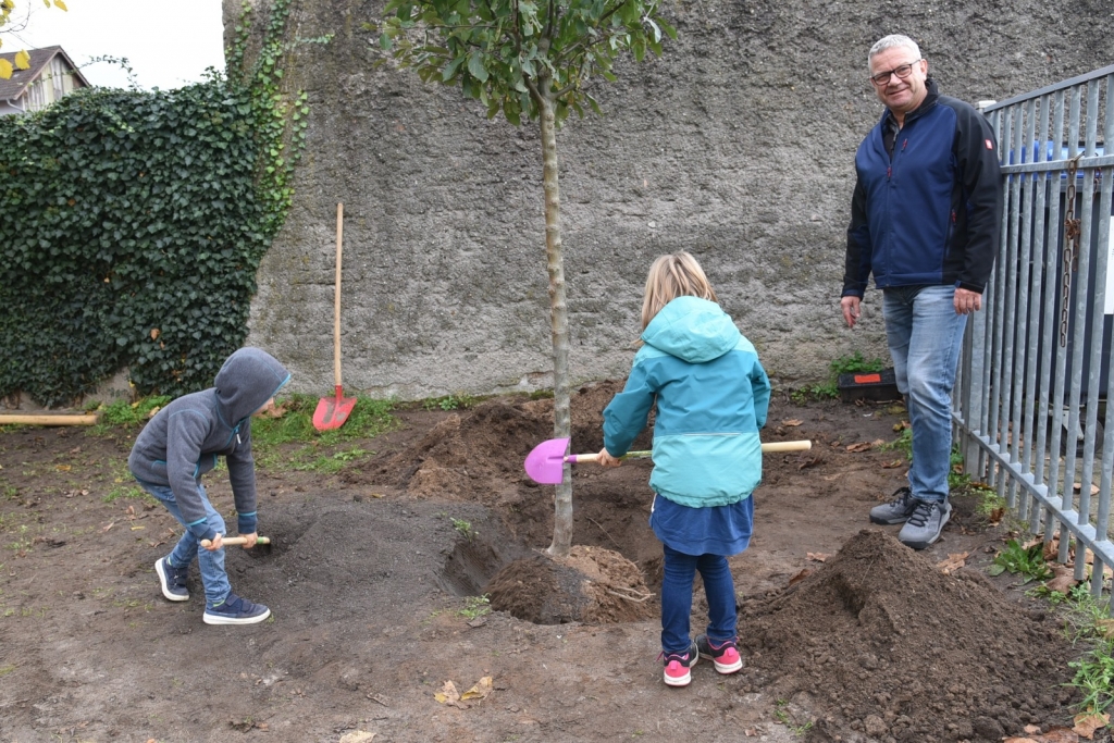 Ein Apfelbaum auf dem Schulhof: Bauhofleiter Jochen Barisch mit Schulkindern, die den Baum eingraben.
