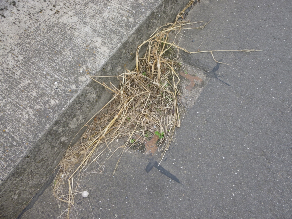 Sinkkastenreinigung. Foto: Gemeinde