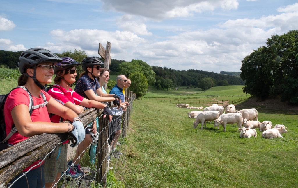 Radler*innen schauen auf eine Kuhweide. Quelle: Landratsamt Rhein-Neckar-Kreis