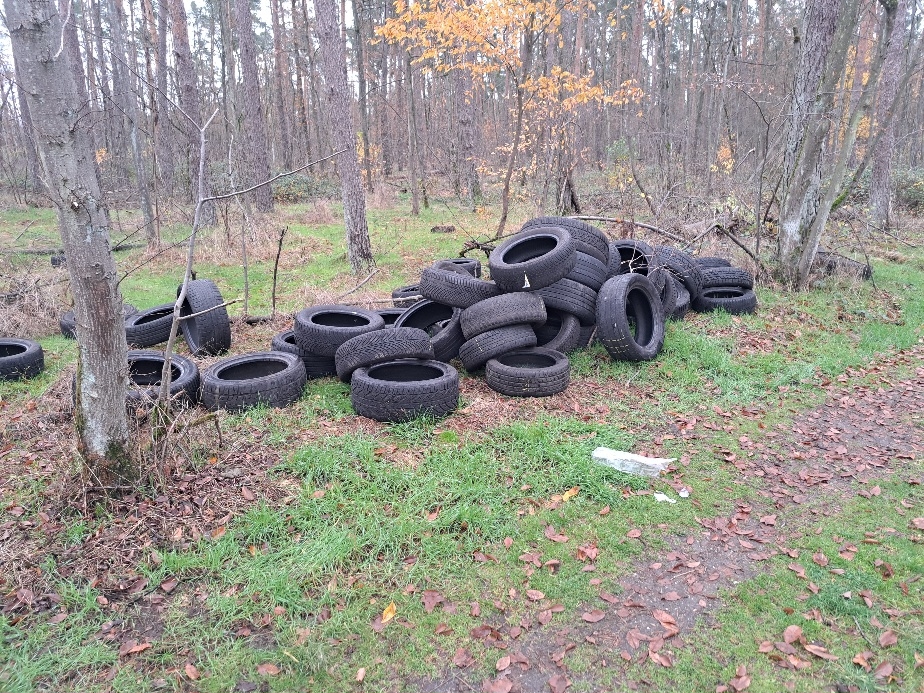 Unbekannte haben im Wald ca. 40 Altreifen illegal entsorgt.