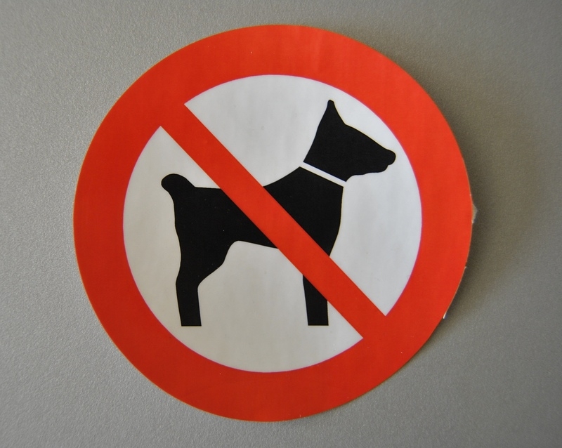 Schild Hunde verboten