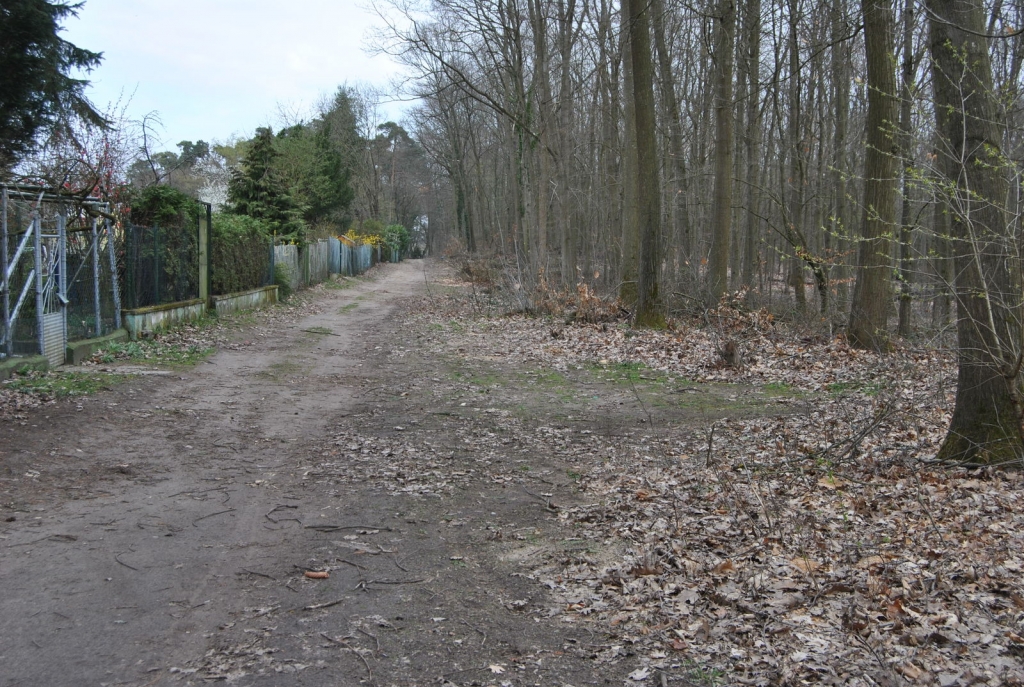 im Sand auf den Kohlwald.JPG