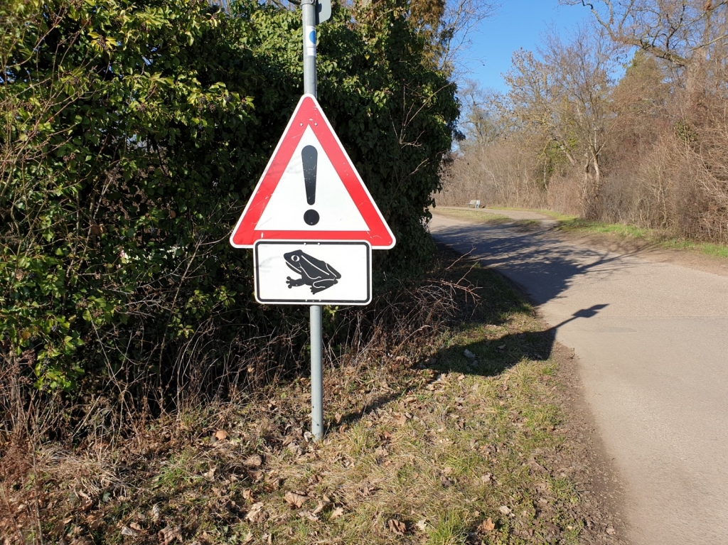 LRA RNK kroetenwanderung.jpg
