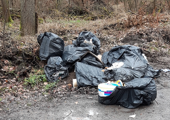 Wilder Müll am Grünhausweg