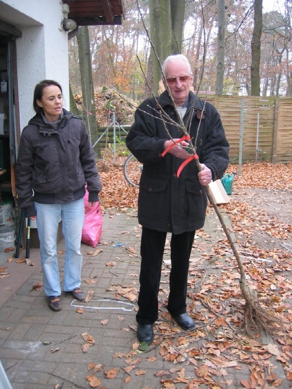 Gartenfreunde bestellten Obstbäume