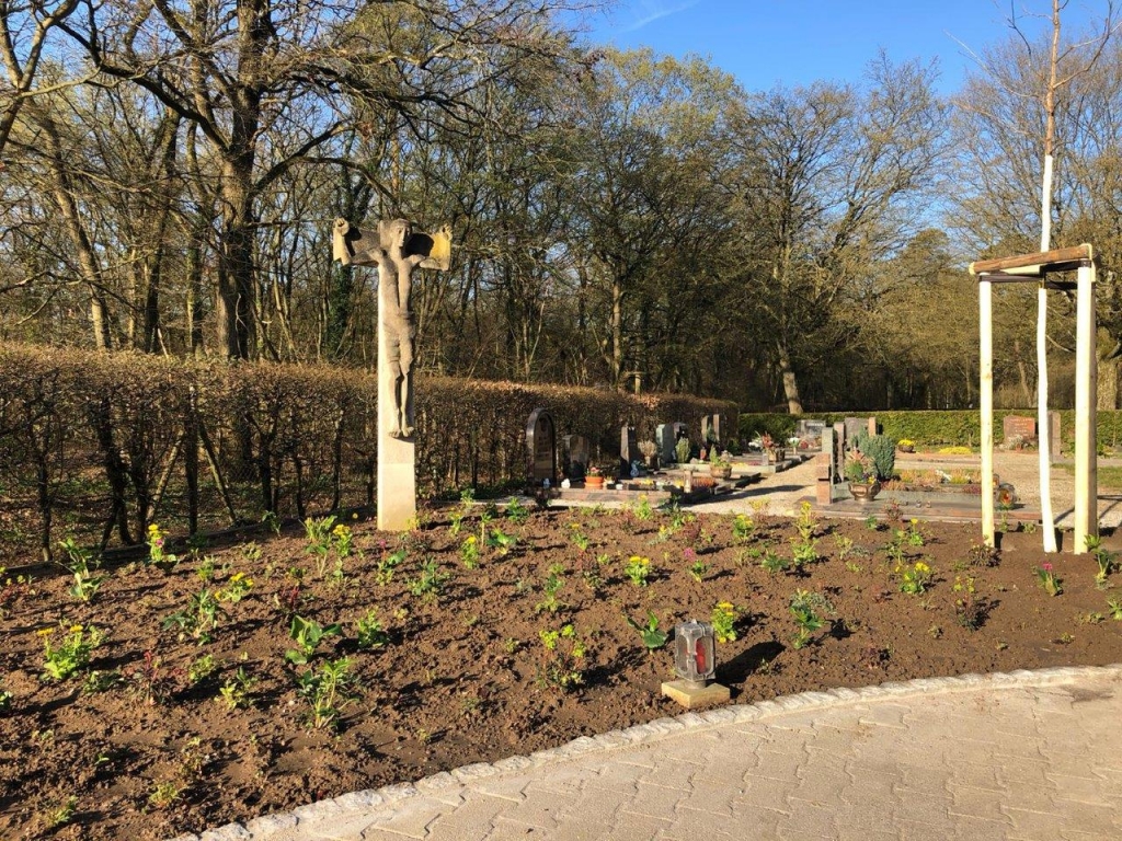 Friedhofseingang: frisch angelegtes Staudenbeet