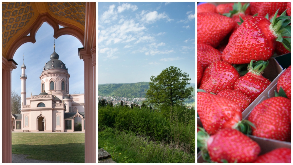 Kultur Natur und Kulinarik / Bild: Landratsamt Rhein-Neckar-Kreis