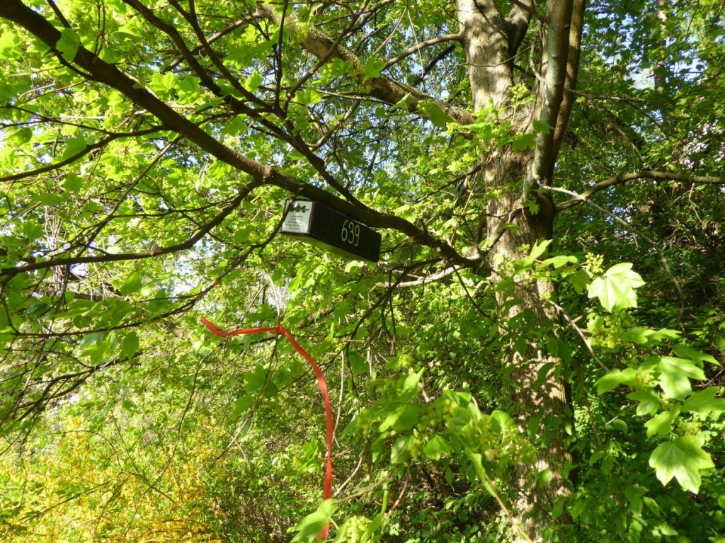  Beispielbild eines Haselmaus-Tubes. Das rote Forstband dient zur Markierung. Foto: GÖG GmbH