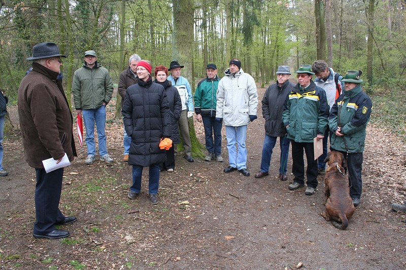 Bild zu Schafherde