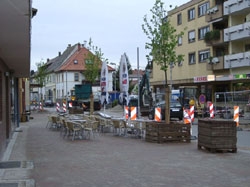 Baummaßnahme Innerorts
