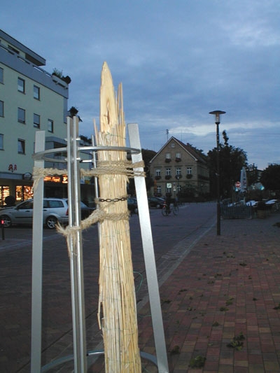 Zerstörter Baum 2