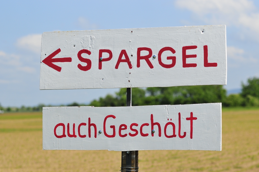 Oftersheim JimAlbrightFoto 2014 (458).JPG
