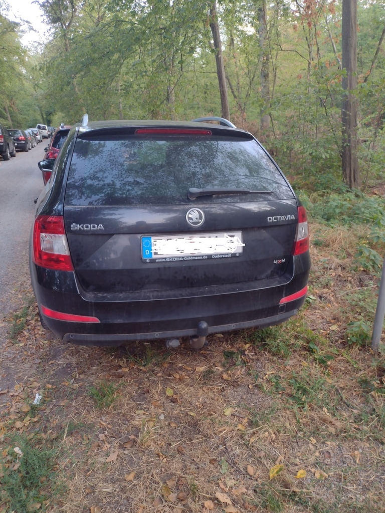 Auch im Wald waren widerrechtlich Fahrzeuge abgestellt. Im trockenen Sommer kann das verheerende Folgen haben. Auch der heiße Motor eines Autos über dem trockenen Boden stellt ein hohes Gefahrenpotential dar. Aus diesem Grund dürfen Sie in aller Regel nicht im Wald parken.