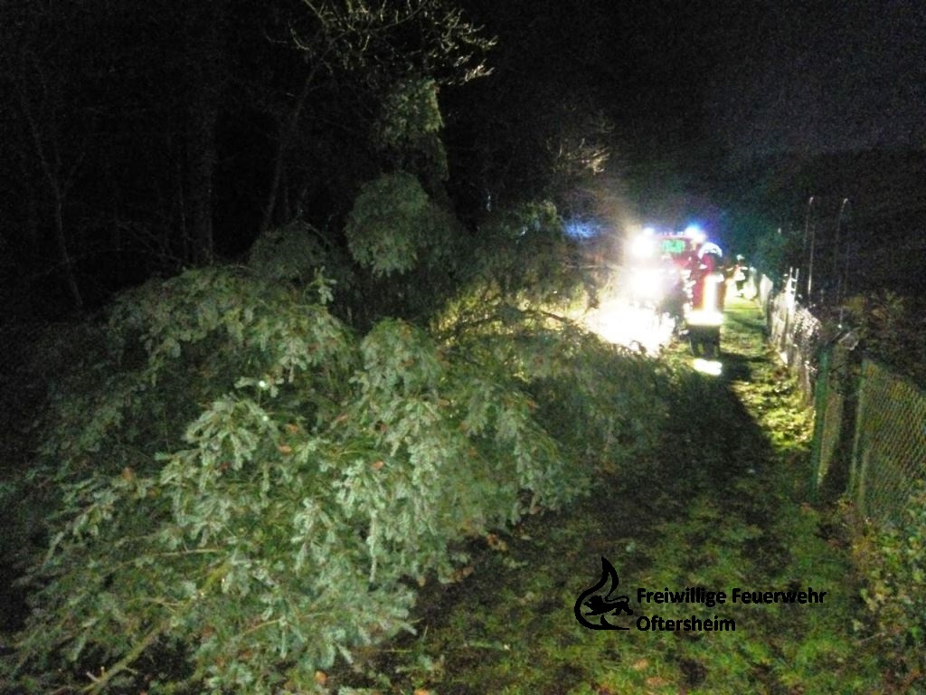Sturm Baum auf-Straße 03.01.2018 FFO3.jpeg
