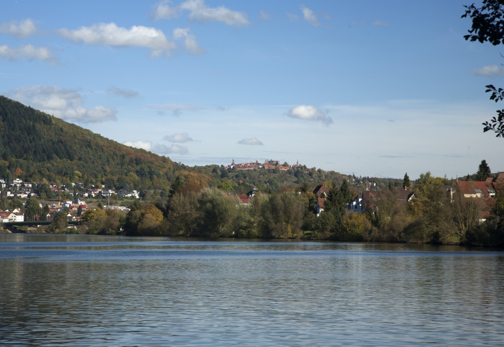 NECKARTAL Dilsbergblick; Foto: Dorothea Burkhardt