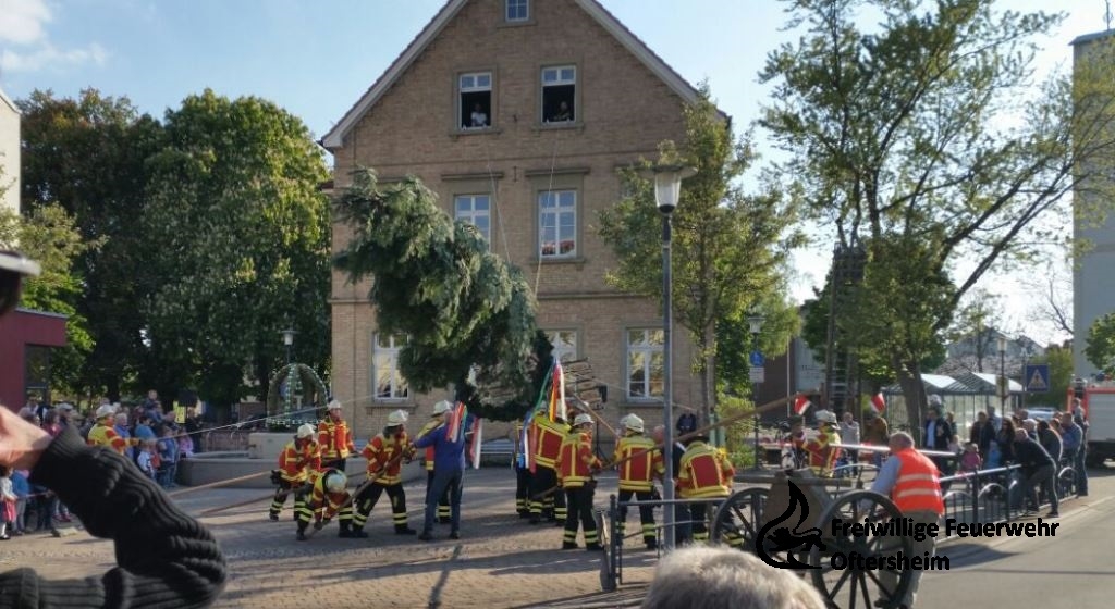 Maibaum Grillen Funklehrgang 29.04.2017 FFO2.jpeg