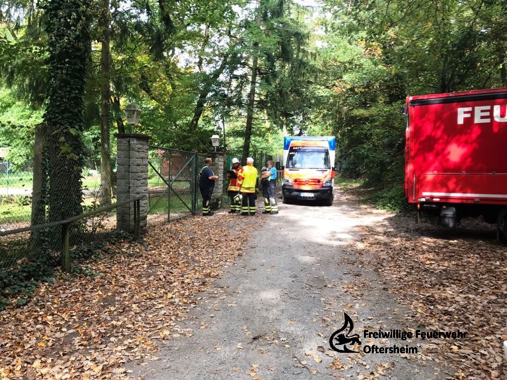 Personenrettung Trage Wald RD 28.09.2017 FFO2.jpeg