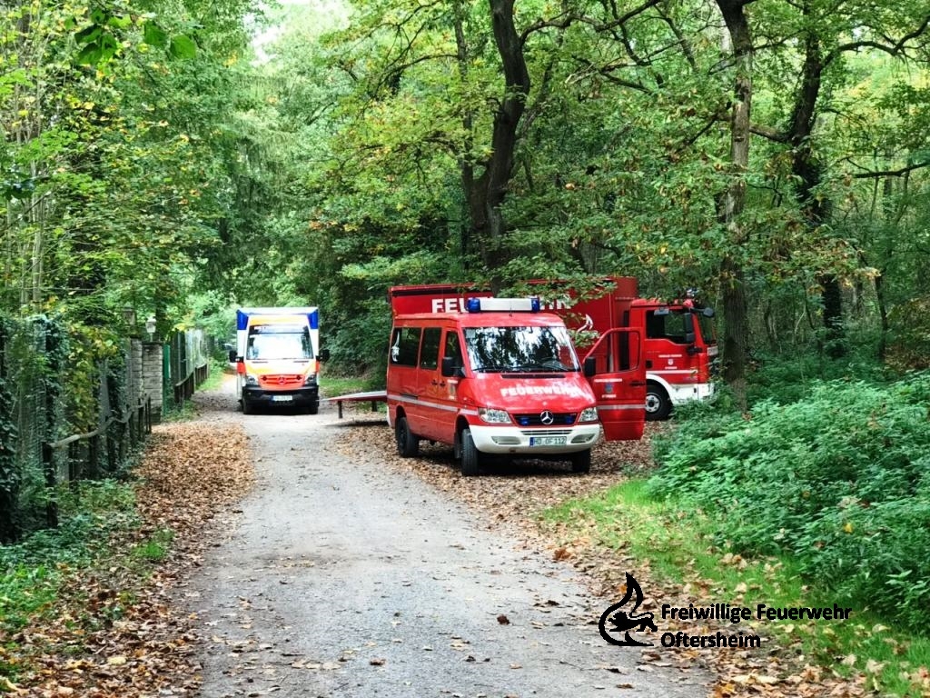 Personenrettung Trage Wald RD 28.09.2017 FFO3.jpeg