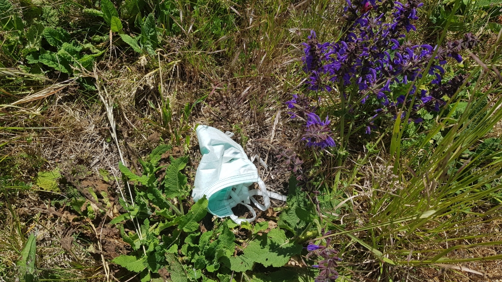 Schutzmasken und Handschuhe gehören in den Restmüll. Foto: AVR