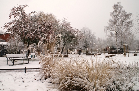 Winter