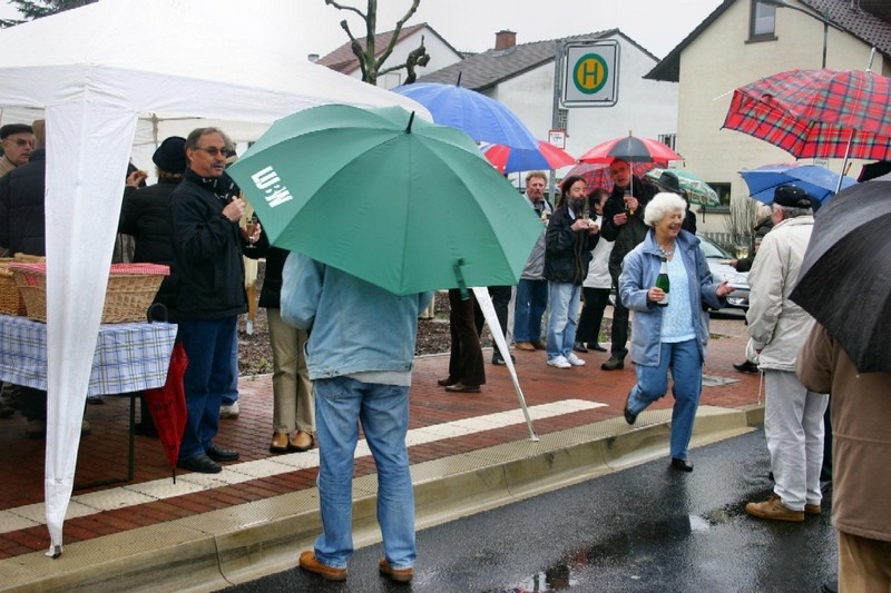 12 Jahre alte Blutbuche der Gemeinde Oftersheim gespendet 9