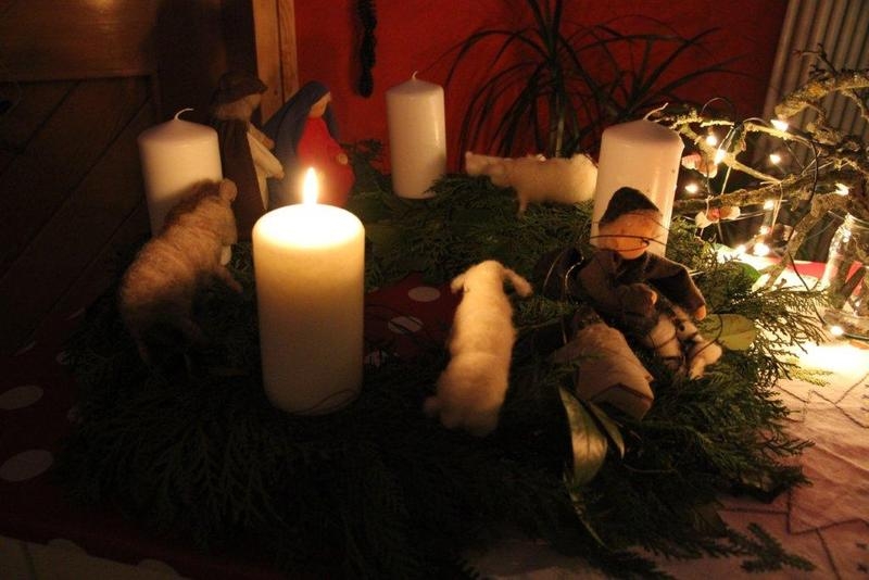 Weihnachtszauber 2013 in der Fohlenweide 1