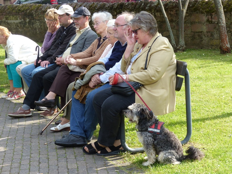 Musik im Park tete a tete
