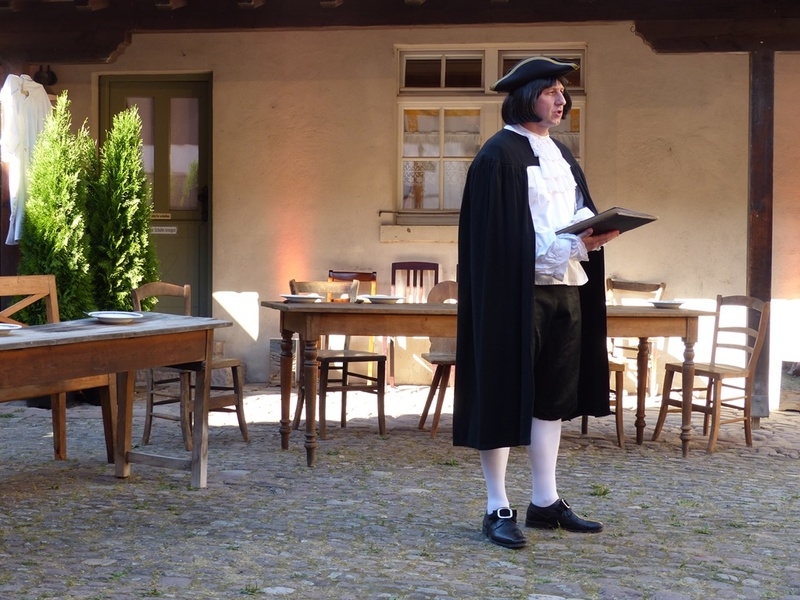 Im Schatten des Hardtwaldes
