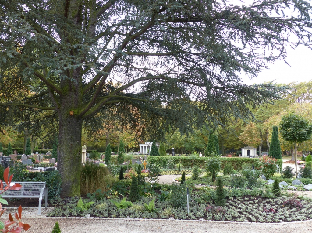 P1010498.JPG