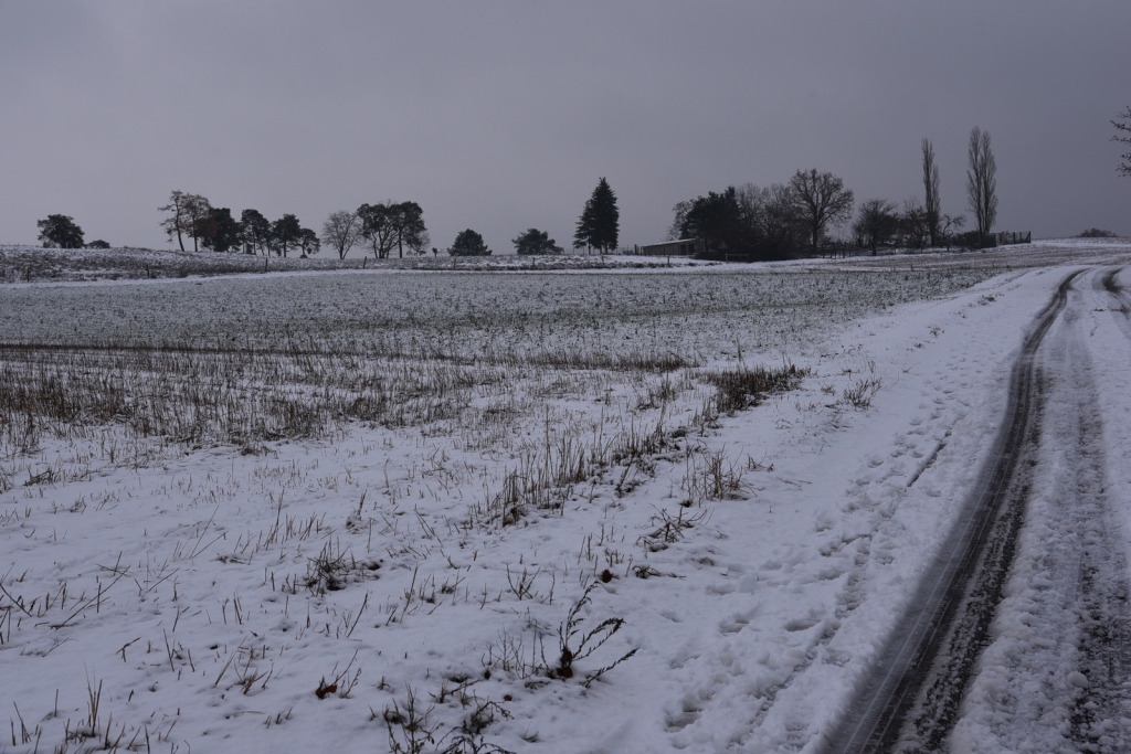 Blick auf die verschneite Friedenshöhe