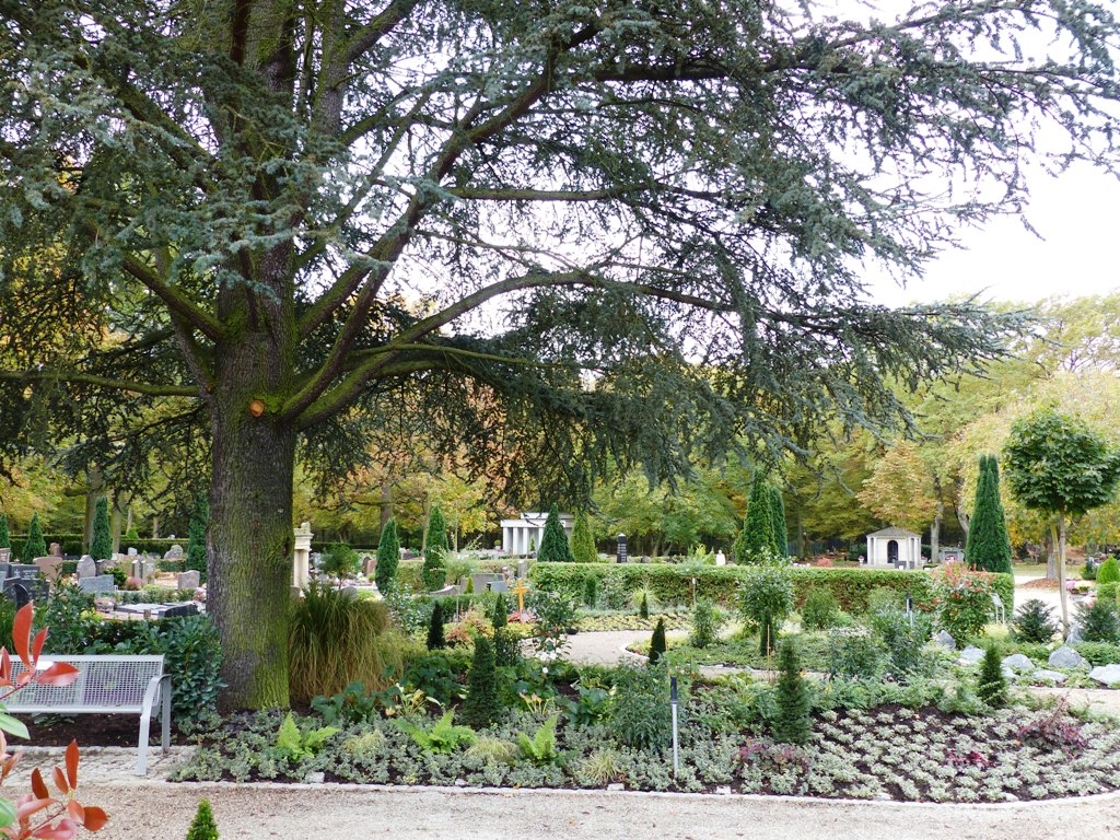 Blick auf den Friedhof