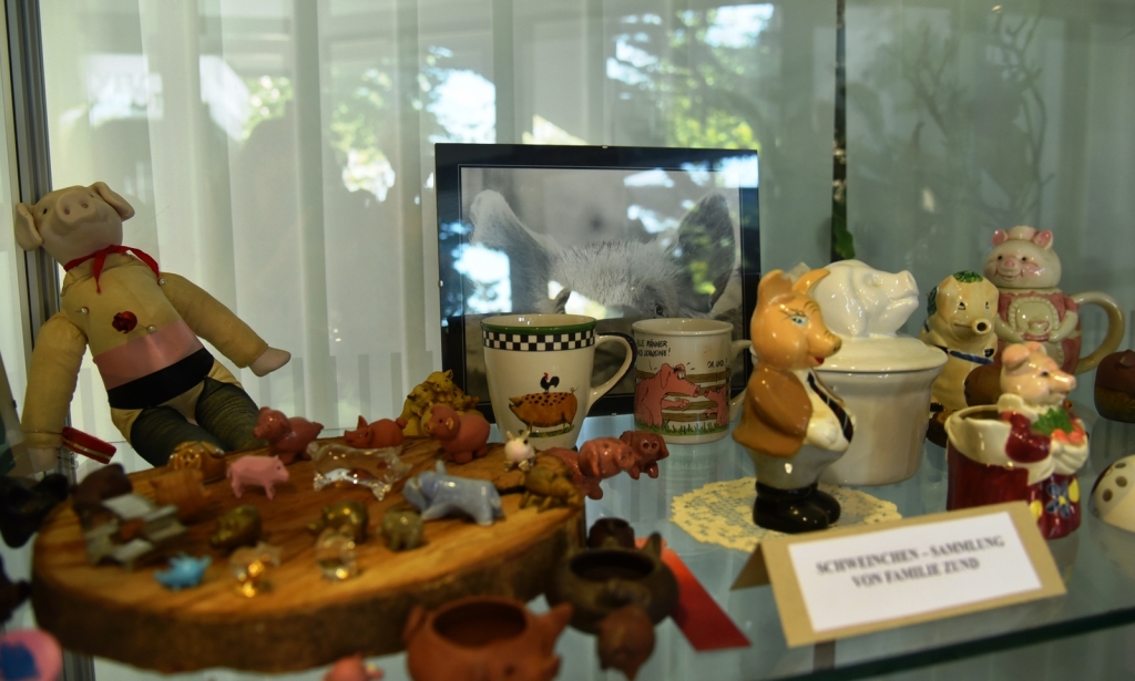 Schweine in verschiedenen Ausführungen sind im Rathausfoyer ausgestellt, aus der Sammlung der Familie Zund. 