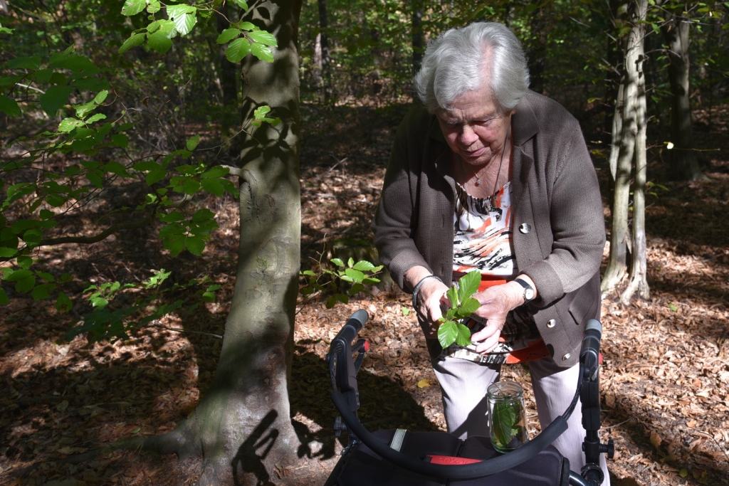 Erst wird gesammelt, was der Wald zu verschenken hat. 