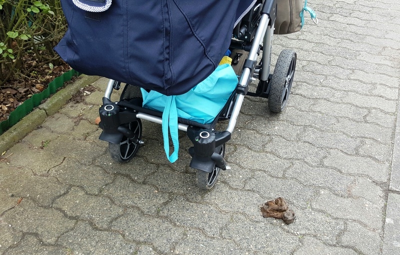 Hundehinterlassenschaft